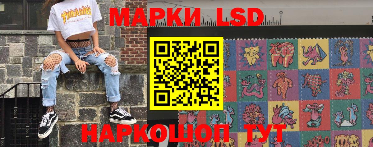 Псилоцибиновые грибы Томск