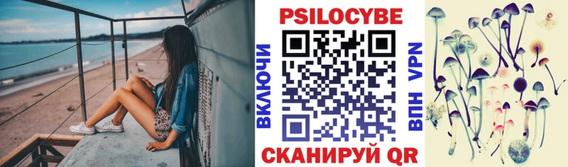 закладки  ОМГ ОМГ ТОР  Псилоцибиновые грибы GOLDEN TEACHER  Томск 