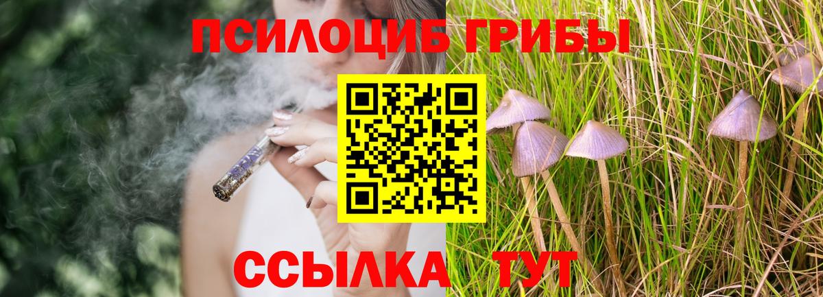 Галлюциногенные грибы Psilocybine cubensis  Вход с VPN  Томск 